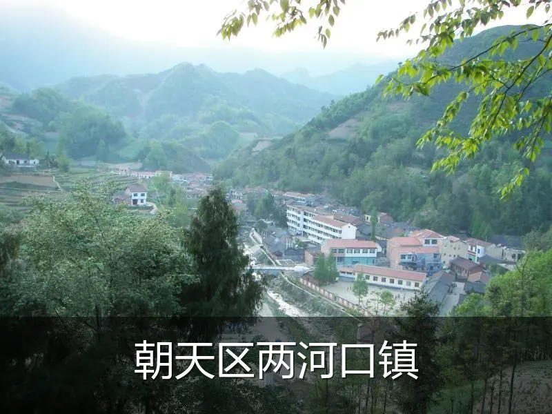 朝天区两河口镇