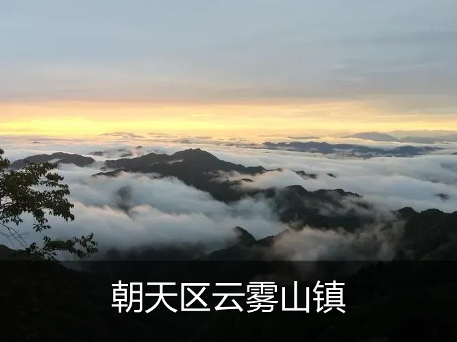 朝天区云雾山镇