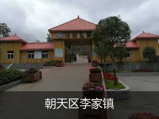朝天区李家镇