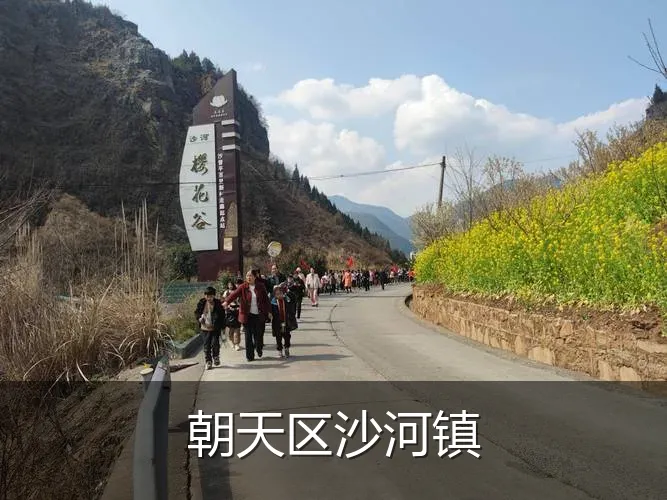 朝天区沙河镇